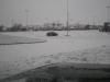pc130049_t1.jpg