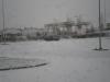 pc130053_t1.jpg