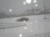 pc130059_t1.jpg