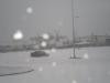 pc130060_t1.jpg