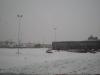 pc130061_t1.jpg