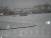 pc130066_t1.jpg
