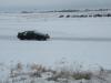 dscn9642_t1.jpg