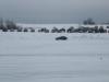 dscn9682_t1.jpg