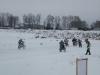 dscn9708_t1.jpg