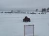 dscn9721_t1.jpg