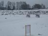 dscn9808_t1.jpg