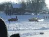 dscf5555_t1.jpg